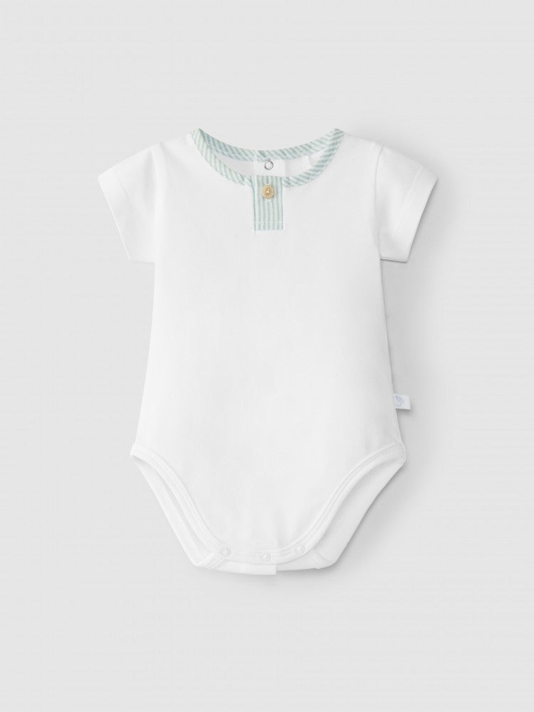 Body - groene kraag
