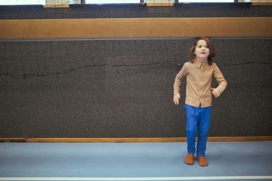 Boys shirt longsleeves