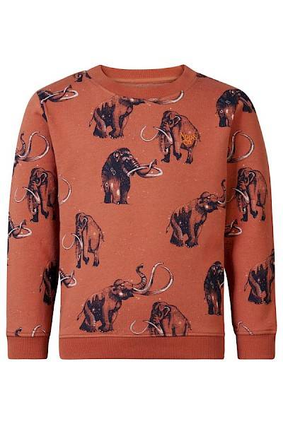 Boys Sweater - Westchase