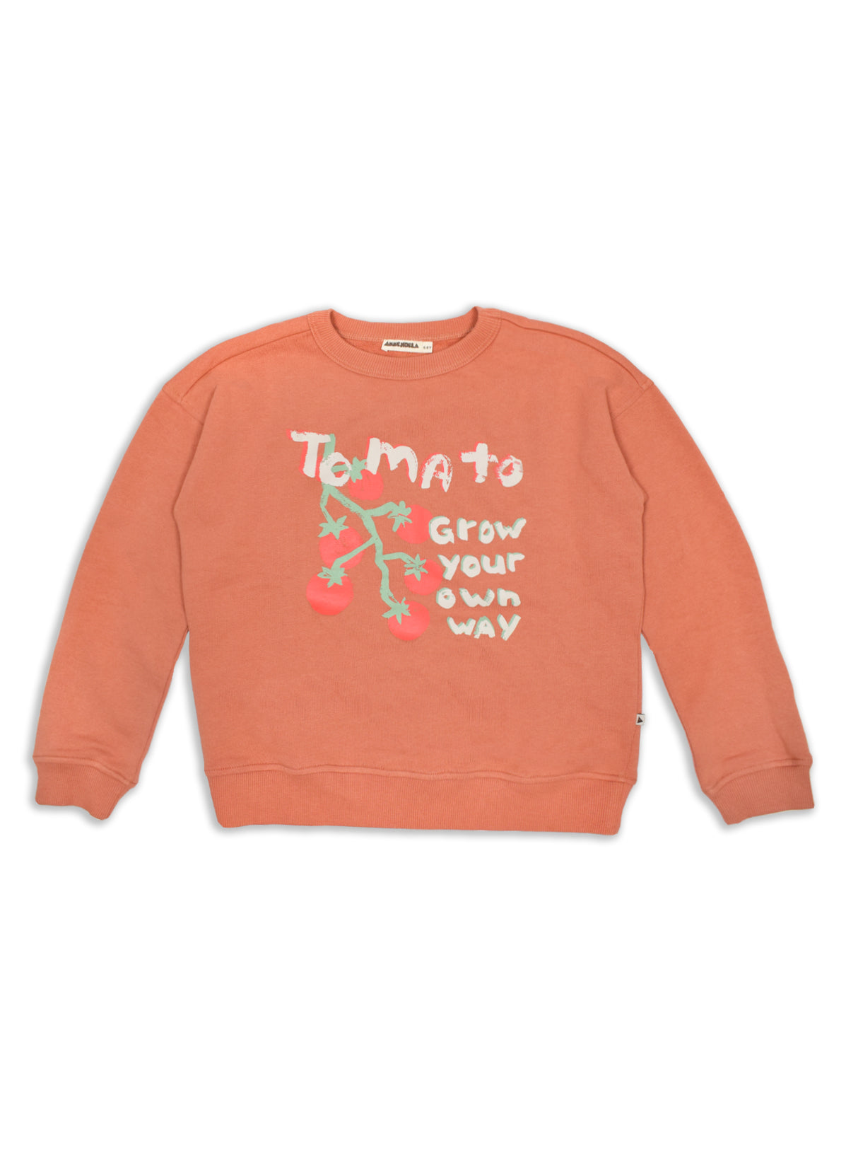 Sweater - Rocky