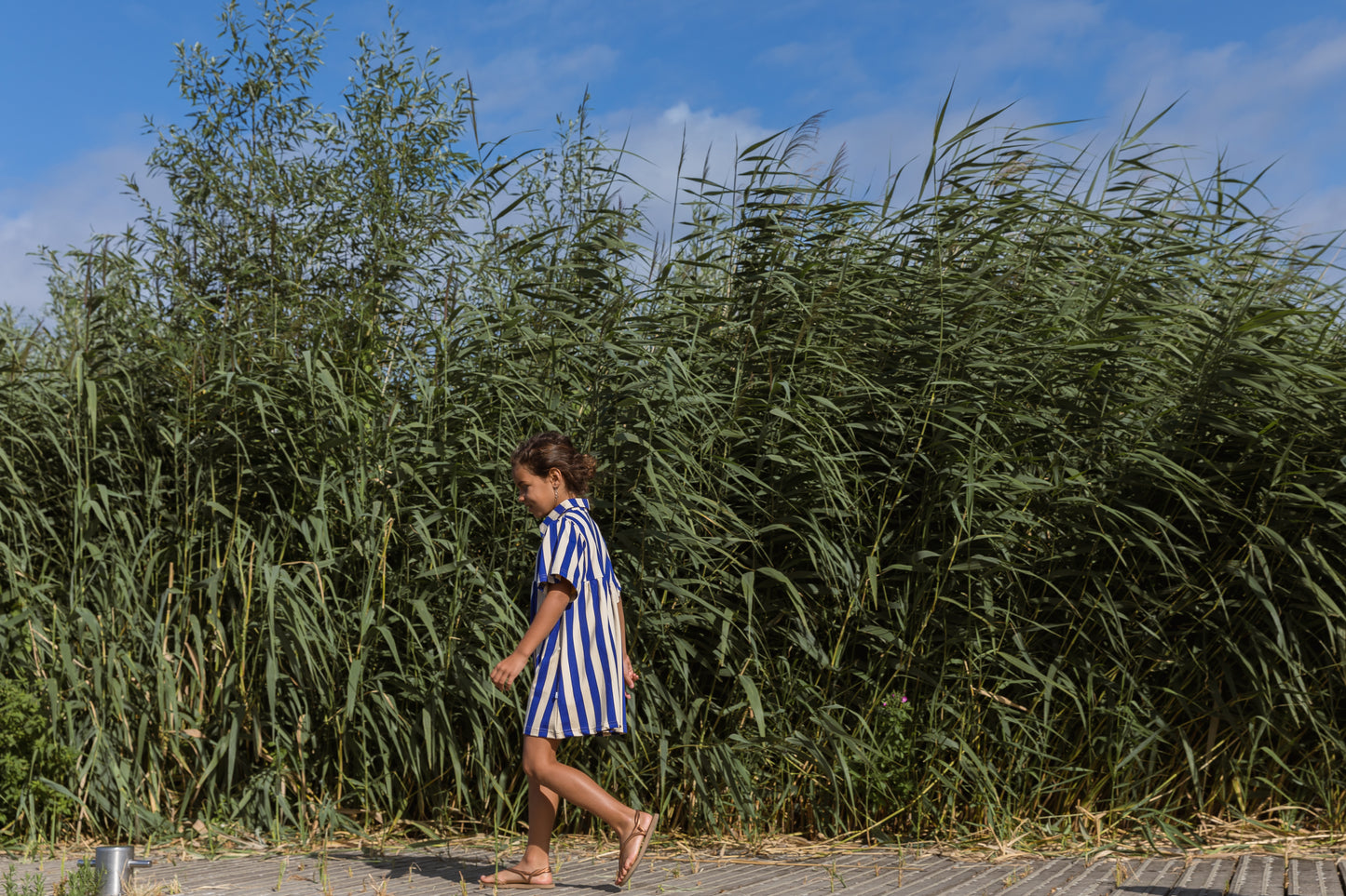 Hilou Dress Blue/Beige Stripes