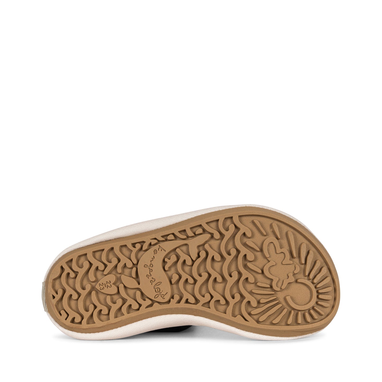 Zwemschoentjes Aster