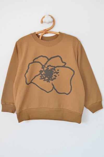 Wind sweat Fennel seeds