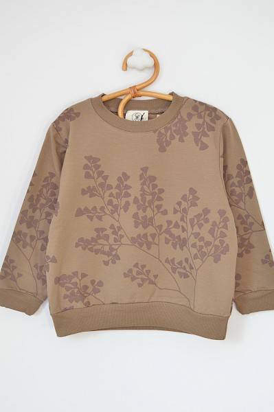 Wind sweat brown
