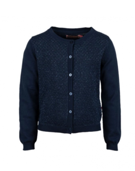 Blauwe cardigan