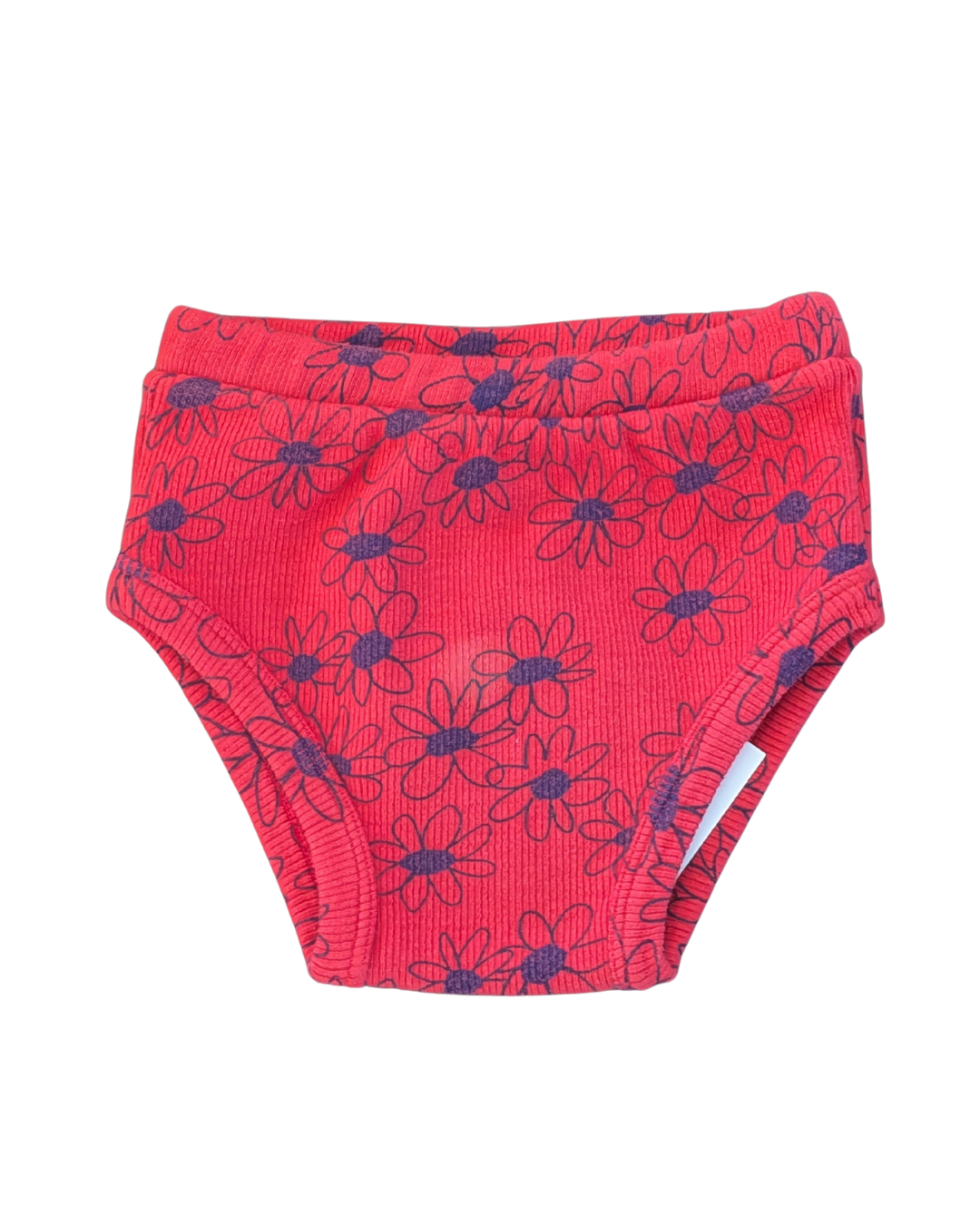 Pink daisies bloomer