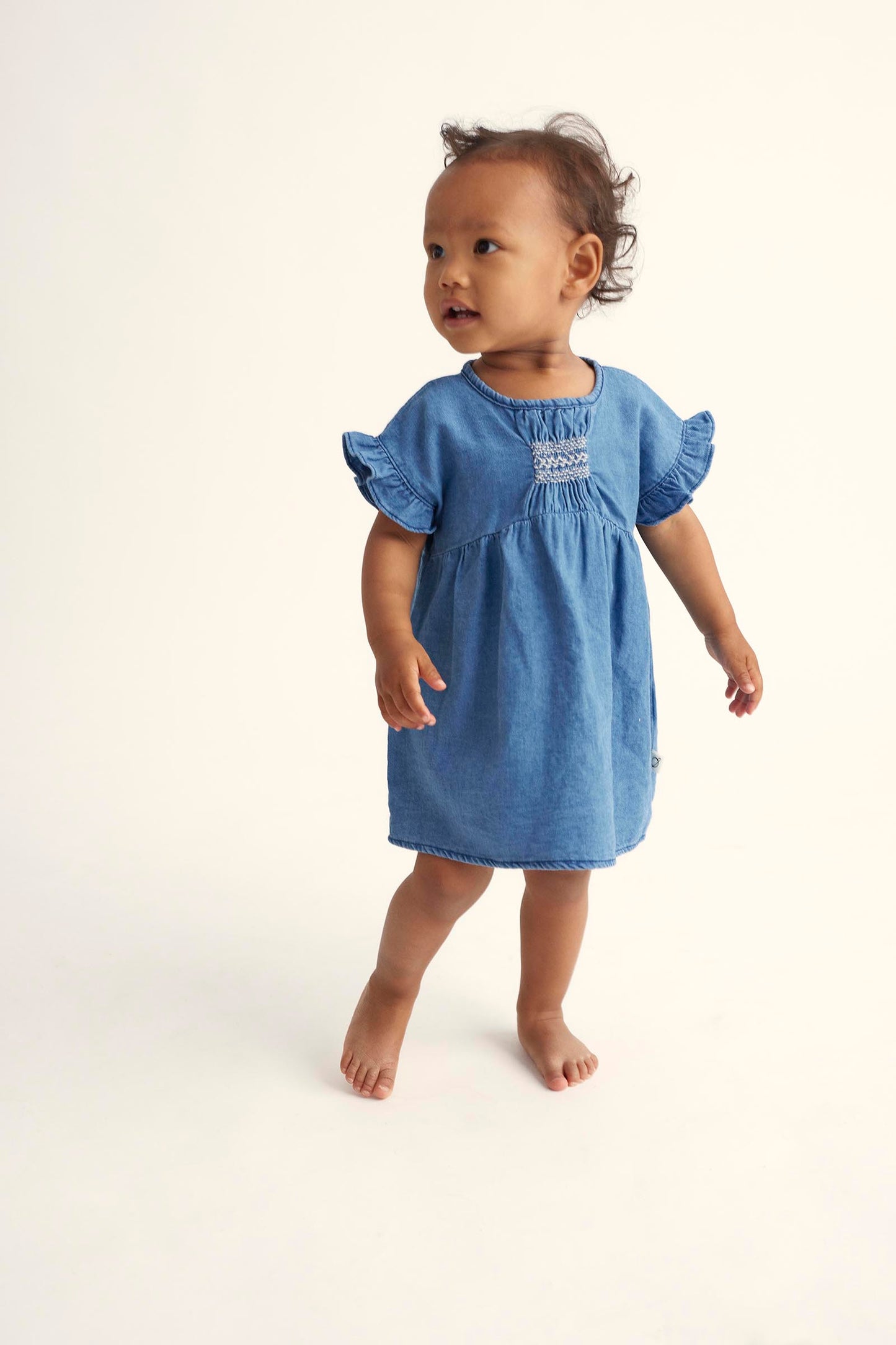 Sarah twill denim dress